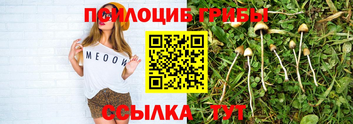 Псилоцибиновые грибы Psilocybine cubensis  Вход с VPN  Кизилюрт 